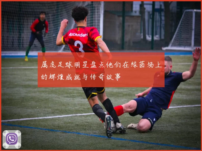 属虎足球明星盘点他们在绿茵场上的辉煌成就与传奇故事