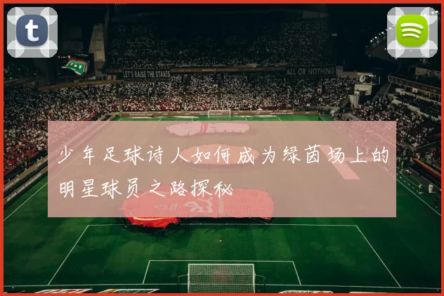 少年足球诗人如何成为绿茵场上的明星球员之路探秘
