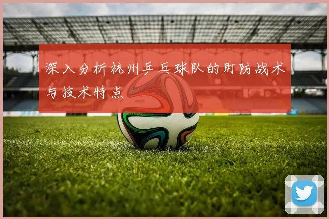 深入分析杭州乒乓球队的盯防战术与技术特点