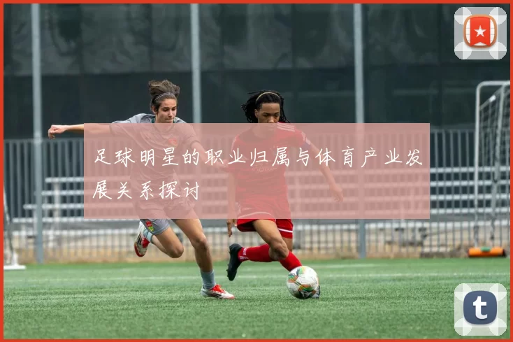足球明星的职业归属与体育产业发展关系探讨