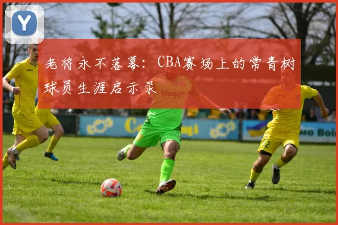 老将永不落幕：CBA赛场上的常青树球员生涯启示录