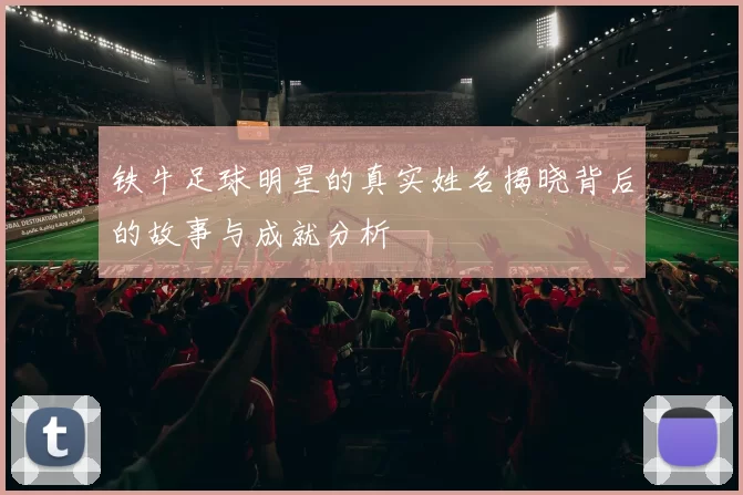 铁牛足球明星的真实姓名揭晓背后的故事与成就分析