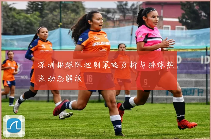 深圳排球队控制策略分析与排球热点动态解读