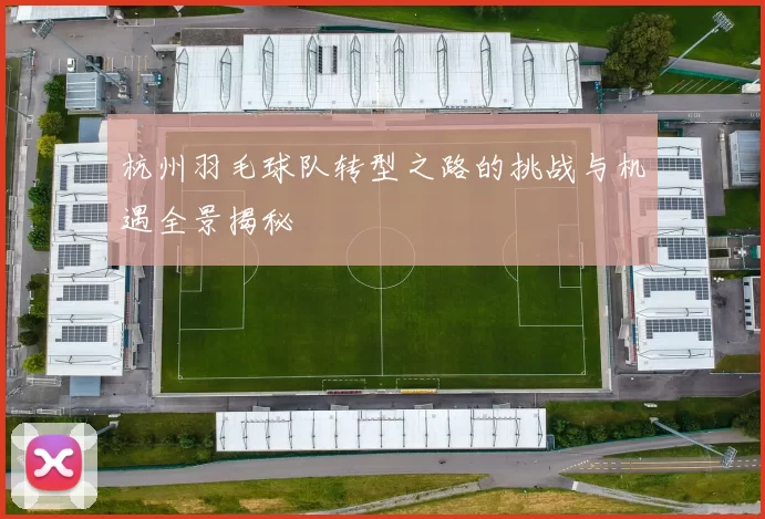 杭州羽毛球队转型之路的挑战与机遇全景揭秘