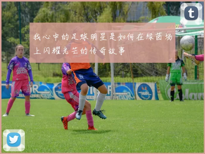 我心中的足球明星是如何在绿茵场上闪耀光芒的传奇故事