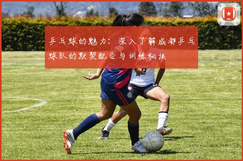 乒乓球的魅力：深入了解成都乒乓球队的默契配合与训练秘诀