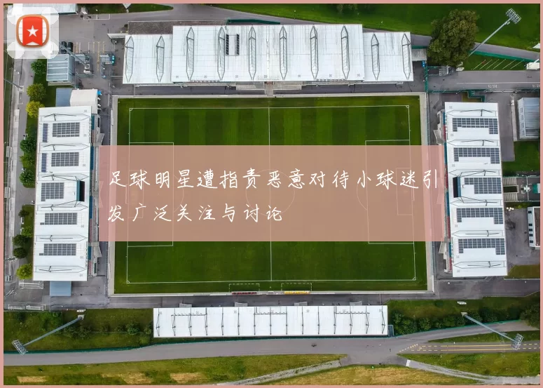 足球明星遭指责恶意对待小球迷引发广泛关注与讨论