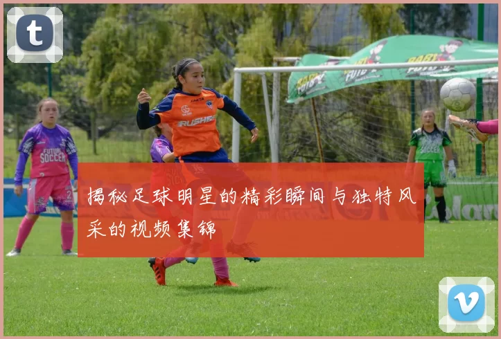 揭秘足球明星的精彩瞬间与独特风采的视频集锦