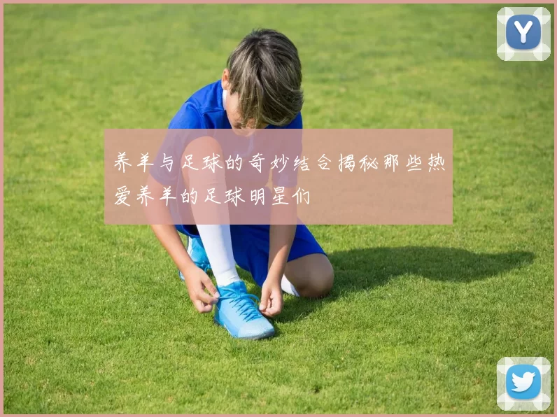 养羊与足球的奇妙结合揭秘那些热爱养羊的足球明星们