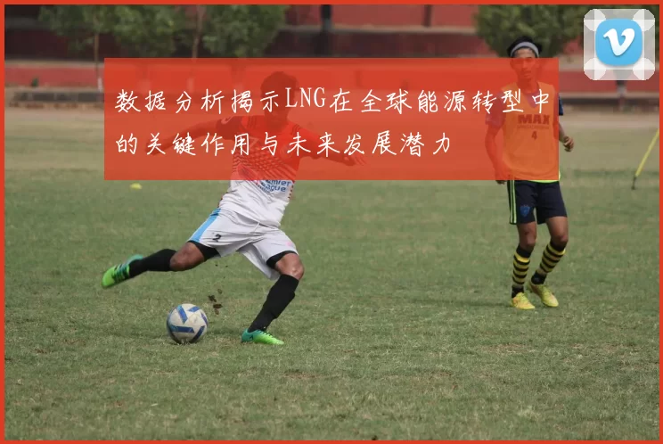 数据分析揭示LNG在全球能源转型中的关键作用与未来发展潜力