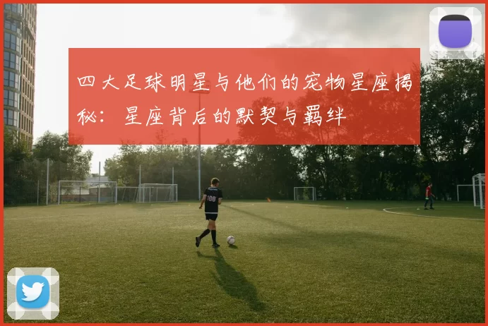 四大足球明星与他们的宠物星座揭秘：星座背后的默契与羁绊