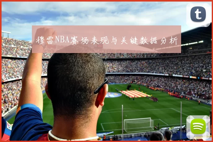 穆雷NBA赛场表现与关键数据分析