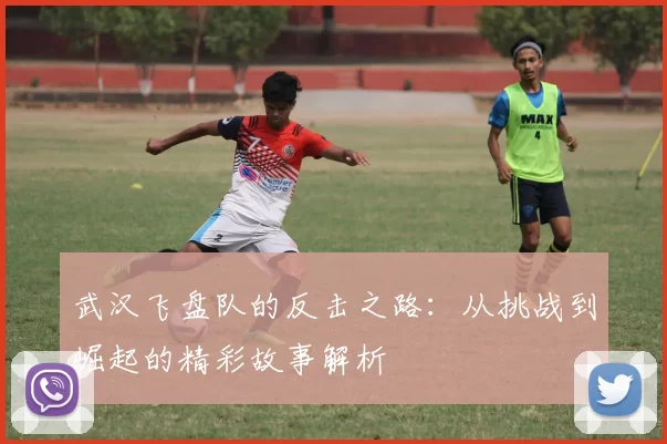 武汉飞盘队的反击之路：从挑战到崛起的精彩故事解析