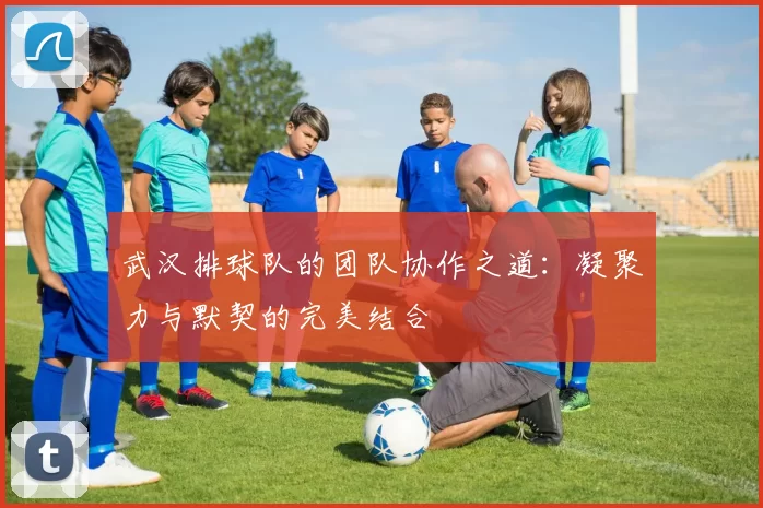 武汉排球队的团队协作之道：凝聚力与默契的完美结合