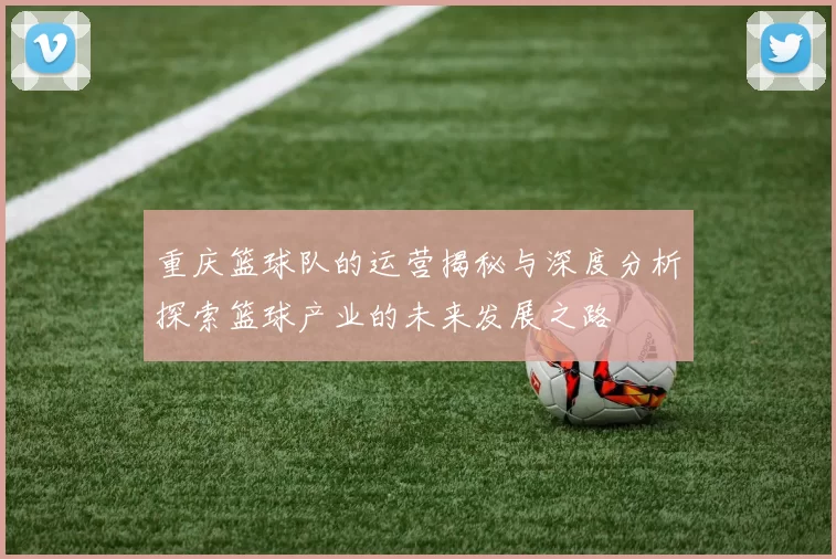 重庆篮球队的运营揭秘与深度分析探索篮球产业的未来发展之路