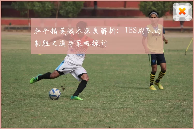 和平精英战术深度解析：TES战队的制胜之道与策略探讨