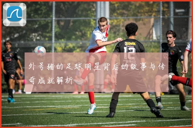 外号猪的足球明星背后的故事与传奇成就解析
