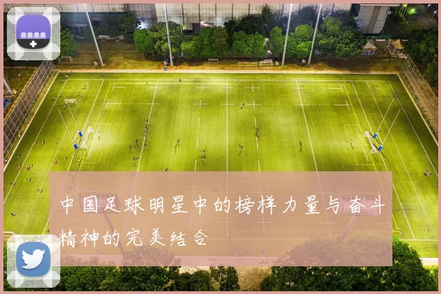 中国足球明星中的榜样力量与奋斗精神的完美结合