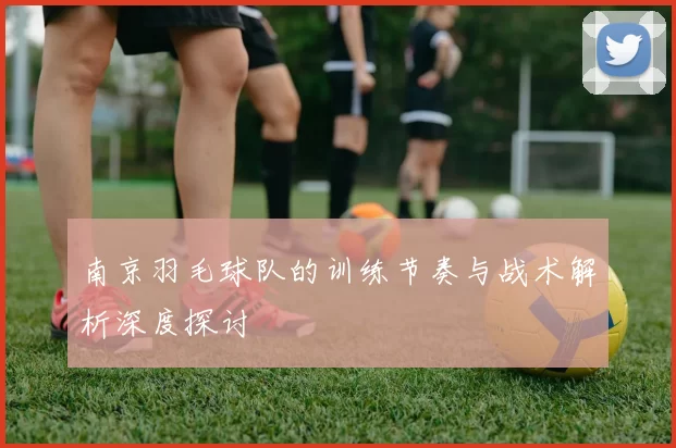 南京羽毛球队的训练节奏与战术解析深度探讨