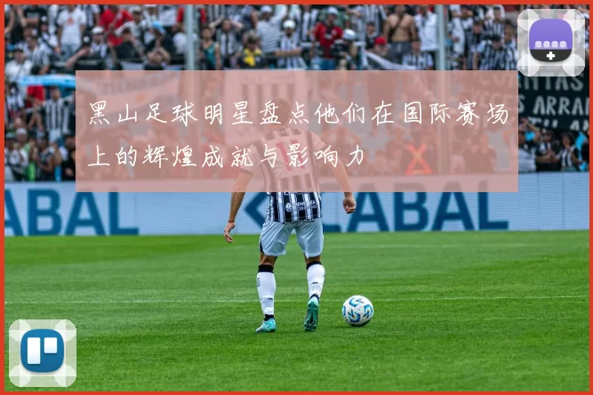 黑山足球明星盘点他们在国际赛场上的辉煌成就与影响力