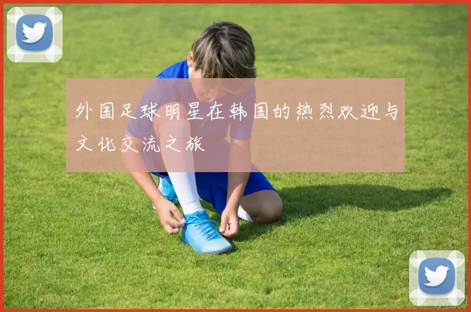 外国足球明星在韩国的热烈欢迎与文化交流之旅