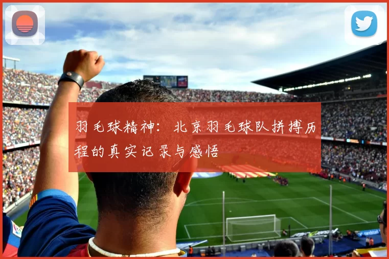 羽毛球精神：北京羽毛球队拼搏历程的真实记录与感悟