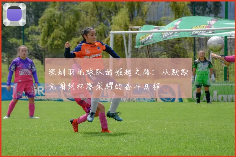 深圳羽毛球队的崛起之路：从默默无闻到杯赛荣耀的奋斗历程