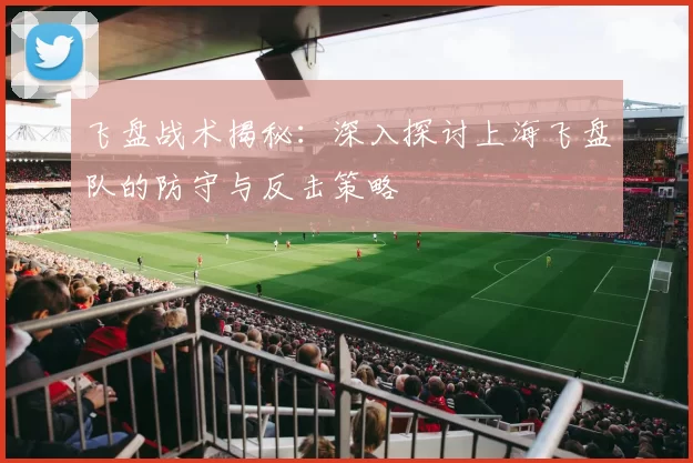 飞盘战术揭秘：深入探讨上海飞盘队的防守与反击策略