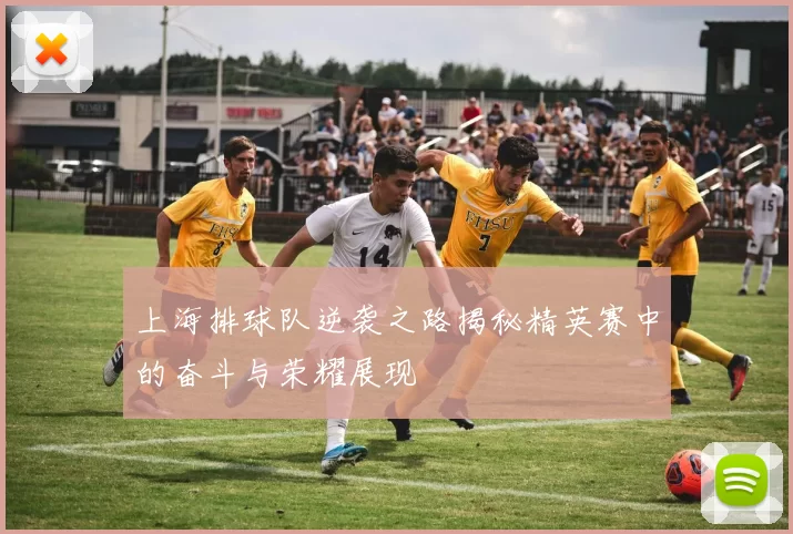 上海排球队逆袭之路揭秘精英赛中的奋斗与荣耀展现