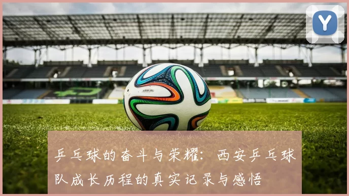 乒乓球的奋斗与荣耀：西安乒乓球队成长历程的真实记录与感悟