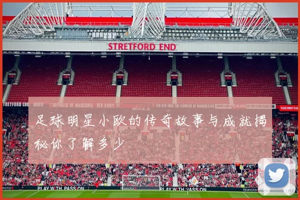 足球明星小欧的传奇故事与成就揭秘你了解多少