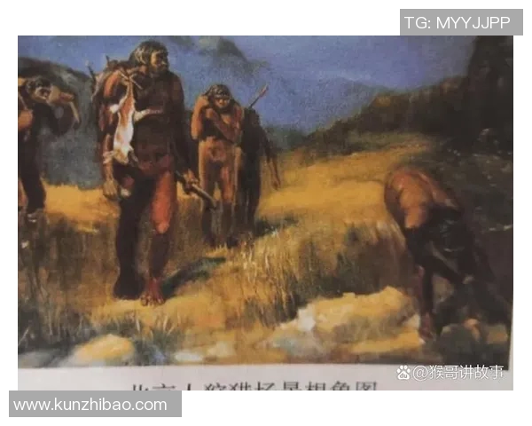 从古代文明的崛起到近现代的变革探索历史的脉络与人类发展的深刻影响